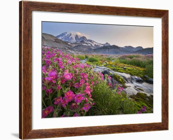 Washington, Lewis's Monkeyflower Along Panorama Trail and Paradise River, Mt. Rainier National Park-Gary Luhm-Framed Photographic Print