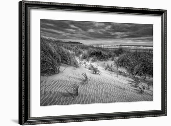 Washington, Long Beach. Dusk on the Beach Dunes-Ann Collins-Framed Photographic Print