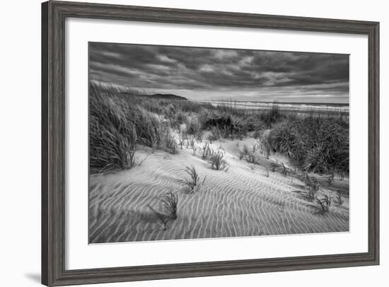 Washington, Long Beach. Dusk on the Beach Dunes-Ann Collins-Framed Photographic Print