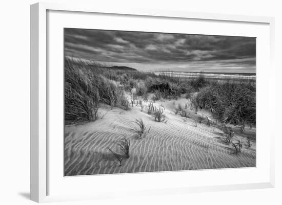 Washington, Long Beach. Dusk on the Beach Dunes-Ann Collins-Framed Photographic Print