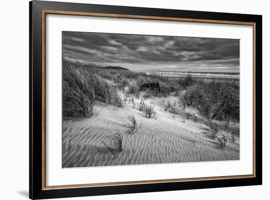 Washington, Long Beach. Dusk on the Beach Dunes-Ann Collins-Framed Photographic Print