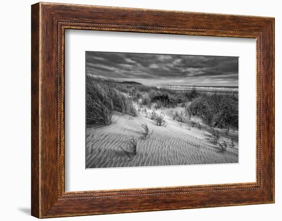 Washington, Long Beach. Dusk on the Beach Dunes-Ann Collins-Framed Photographic Print