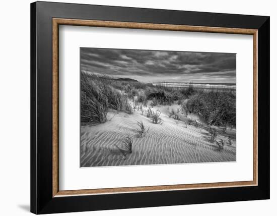 Washington, Long Beach. Dusk on the Beach Dunes-Ann Collins-Framed Photographic Print