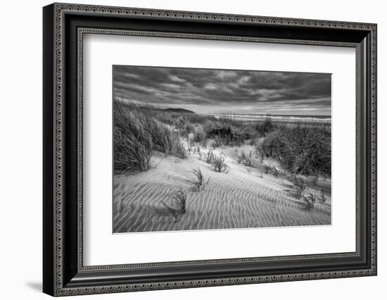 Washington, Long Beach. Dusk on the Beach Dunes-Ann Collins-Framed Photographic Print