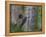 Washington, Male Pileated Woodpecker at Nest in Snag, with Begging Chicks-Gary Luhm-Framed Premier Image Canvas