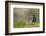 Washington, Male Wood Duck Stretches While Perched on a Log in the Seattle Arboretum-Gary Luhm-Framed Photographic Print