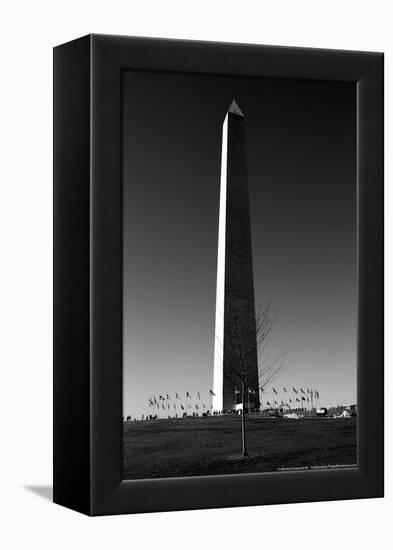 Washington Memorial Washington DC-null-Framed Stretched Canvas