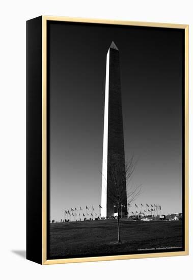 Washington Memorial Washington DC-null-Framed Stretched Canvas