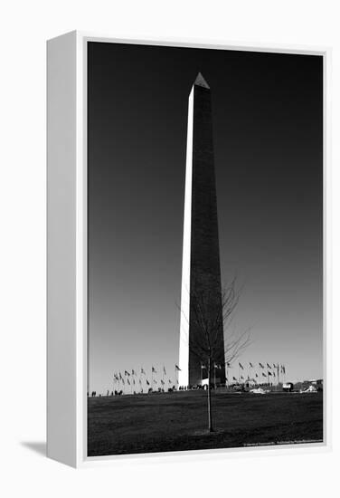 Washington Memorial Washington DC-null-Framed Stretched Canvas