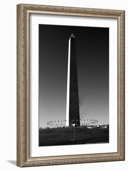 Washington Memorial Washington DC-null-Framed Photo