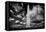 Washington Monument 1 BW-John Gusky-Framed Premier Image Canvas