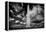 Washington Monument 1 BW-John Gusky-Framed Premier Image Canvas