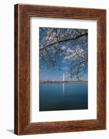 Washington Monument and Cherry Blossom-Belinda Shi-Framed Photographic Print