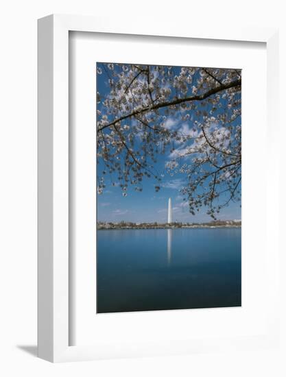 Washington Monument and Cherry Blossom-Belinda Shi-Framed Photographic Print