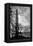 Washington Monument Black and White DC-null-Framed Stretched Canvas