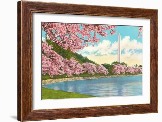 Washington Monument, Cherry Blossoms, Washington D.C.-null-Framed Art Print