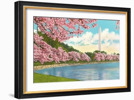 Washington Monument, Cherry Blossoms, Washington D.C.-null-Framed Premium Giclee Print