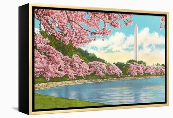 Washington Monument, Cherry Blossoms, Washington D.C.-null-Framed Stretched Canvas