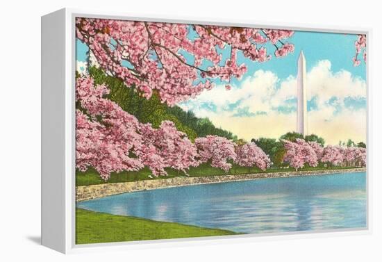 Washington Monument, Cherry Blossoms, Washington D.C.-null-Framed Stretched Canvas