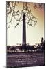 Washington Monument, Cross Processed Look in Washington, DC with Mark Twain Quote-null-Mounted Photo