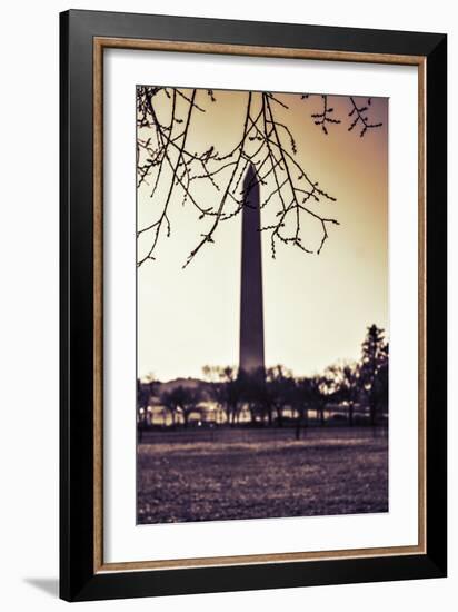 Washington Monument, Cross Processed Look in Washington, DC-null-Framed Photo