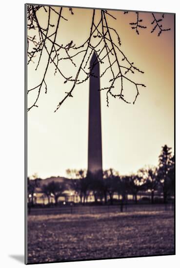 Washington Monument, Cross Processed Look in Washington, DC-null-Mounted Photo