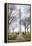 Washington Monument DC-null-Framed Stretched Canvas