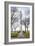 Washington Monument DC-null-Framed Photo