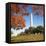 Washington Monument-Ron Chapple-Framed Premier Image Canvas