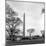 Washington Monument-Anthony Butera-Mounted Giclee Print