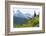 Washington, Mount Rainier National Park. Alpine Meadow and the Tatoosh Range-Jaynes Gallery-Framed Photographic Print