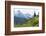 Washington, Mount Rainier National Park. Alpine Meadow and the Tatoosh Range-Jaynes Gallery-Framed Photographic Print