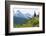 Washington, Mount Rainier National Park. Alpine Meadow and the Tatoosh Range-Jaynes Gallery-Framed Photographic Print