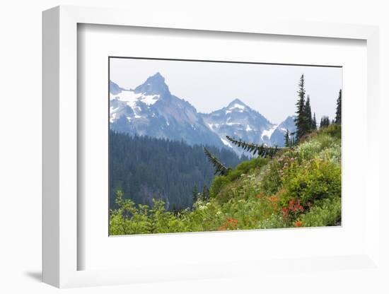 Washington, Mount Rainier National Park. Alpine Meadow and the Tatoosh Range-Jaynes Gallery-Framed Photographic Print