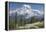 Washington, Mount Rainier National Park. Avalanche Lilies and Mount Rainier-Jaynes Gallery-Framed Premier Image Canvas
