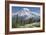 Washington, Mount Rainier National Park. Avalanche Lilies and Mount Rainier-Jaynes Gallery-Framed Photographic Print