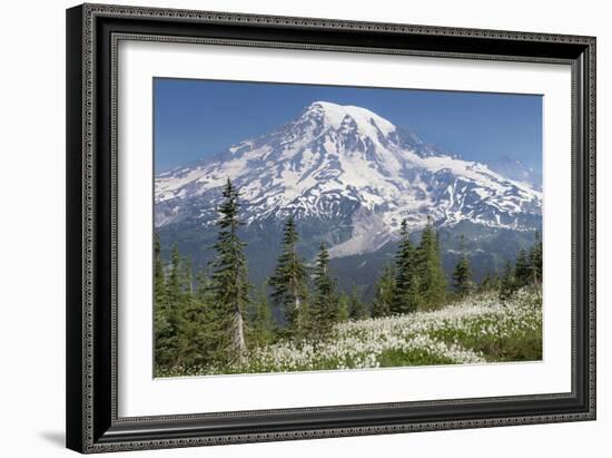 Washington, Mount Rainier National Park. Avalanche Lilies and Mount Rainier-Jaynes Gallery-Framed Photographic Print