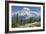 Washington, Mount Rainier National Park. Avalanche Lilies and Mount Rainier-Jaynes Gallery-Framed Photographic Print