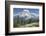 Washington, Mount Rainier National Park. Avalanche Lilies and Mount Rainier-Jaynes Gallery-Framed Photographic Print