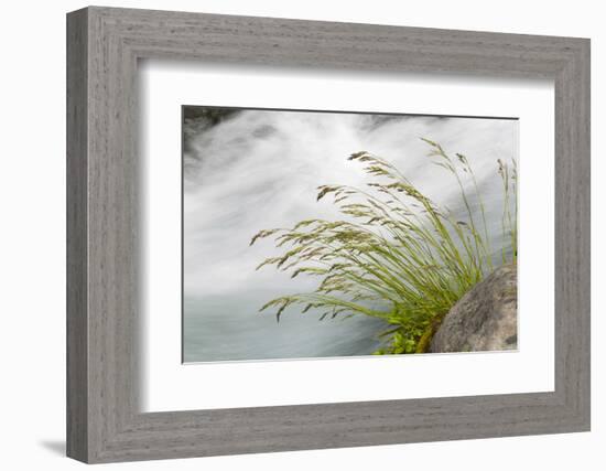 Washington, Mount Rainier National Park. Grass and Rushing Water-Jaynes Gallery-Framed Photographic Print