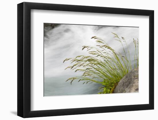 Washington, Mount Rainier National Park. Grass and Rushing Water-Jaynes Gallery-Framed Photographic Print