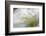 Washington, Mount Rainier National Park. Grass and Rushing Water-Jaynes Gallery-Framed Photographic Print