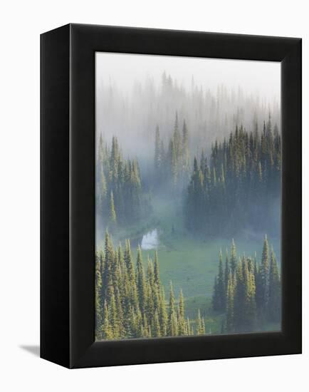 Washington, Mount Rainier National Park. Overview of Surprise Lake-Jaynes Gallery-Framed Premier Image Canvas