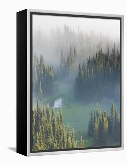 Washington, Mount Rainier National Park. Overview of Surprise Lake-Jaynes Gallery-Framed Premier Image Canvas