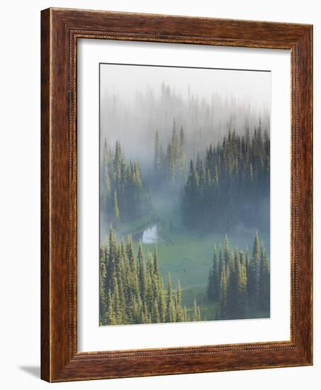 Washington, Mount Rainier National Park. Overview of Surprise Lake-Jaynes Gallery-Framed Photographic Print