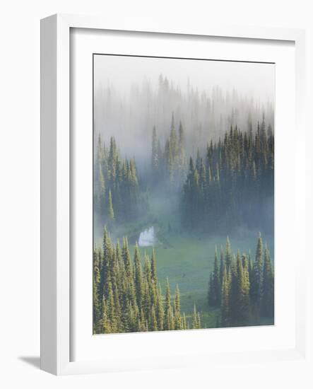 Washington, Mount Rainier National Park. Overview of Surprise Lake-Jaynes Gallery-Framed Photographic Print