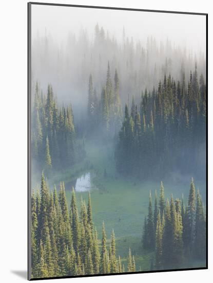 Washington, Mount Rainier National Park. Overview of Surprise Lake-Jaynes Gallery-Mounted Photographic Print