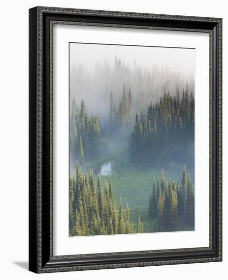 Washington, Mount Rainier National Park. Overview of Surprise Lake-Jaynes Gallery-Framed Photographic Print