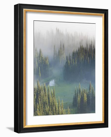 Washington, Mount Rainier National Park. Overview of Surprise Lake-Jaynes Gallery-Framed Photographic Print