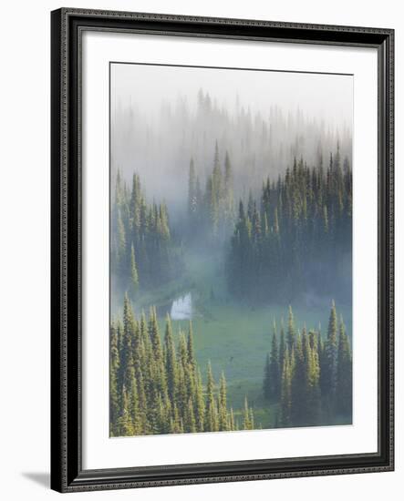 Washington, Mount Rainier National Park. Overview of Surprise Lake-Jaynes Gallery-Framed Photographic Print